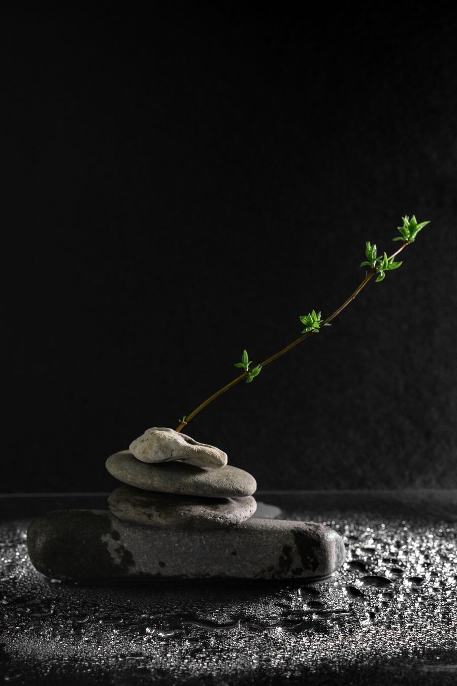 Balanced stack of smooth stones with a green sprout symbolizing nervous system balance and recovery