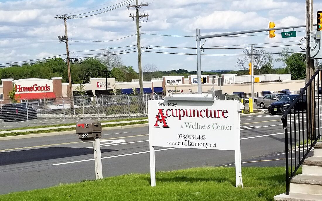 Front lawn and building of New Jersey Acupuncture and Wellness Center at 255 E Hanover Ave Morristown